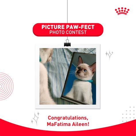 My Royal Canin Account.